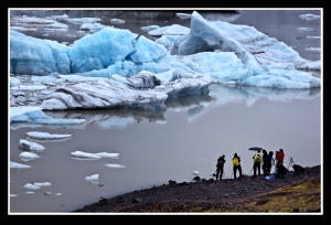 Photographing the icebergs