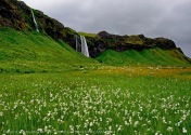 iceland Waterfall & meadow by jack graham